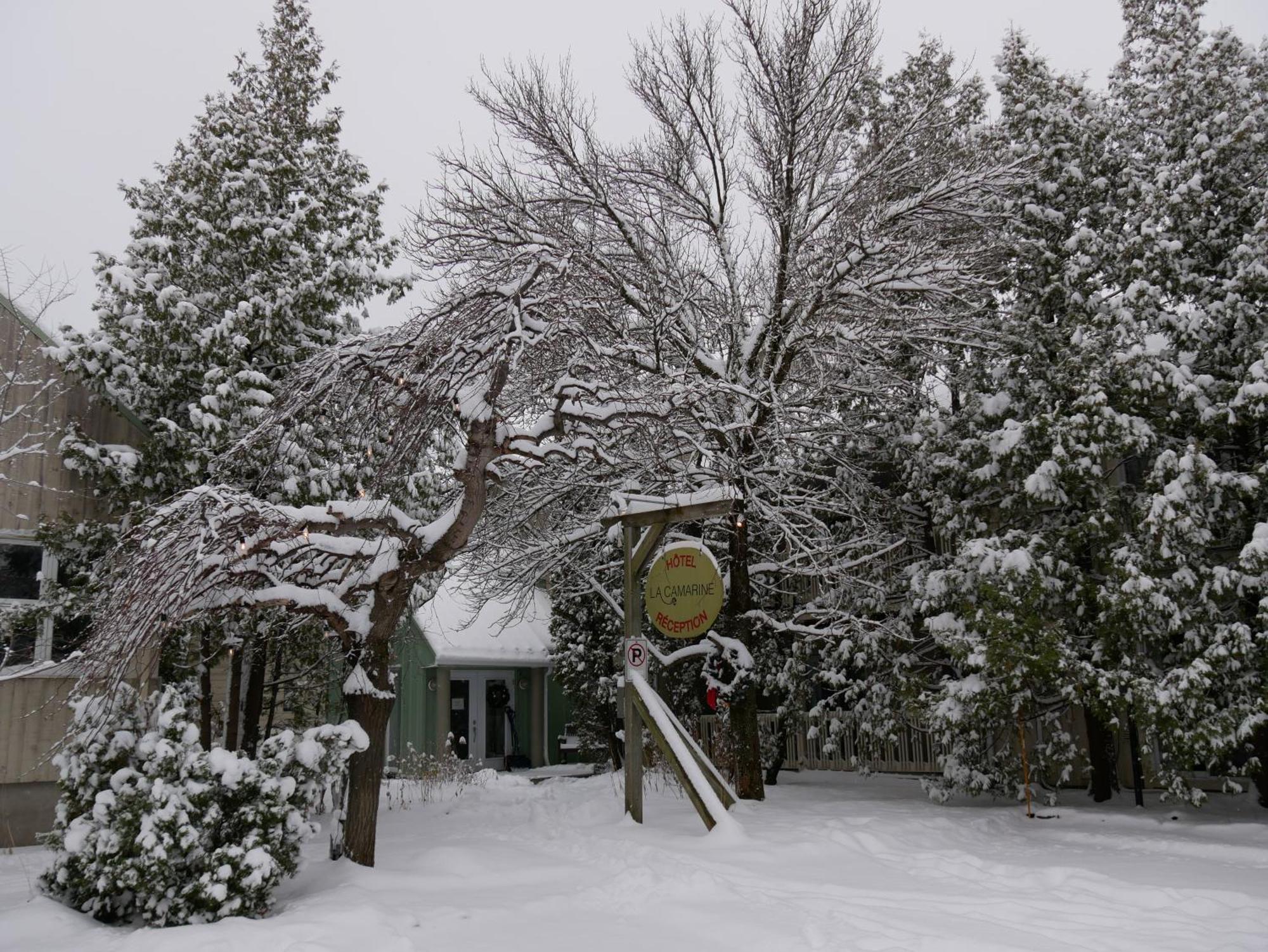 Auberge La Camarine Beaupré Exteriér fotografie